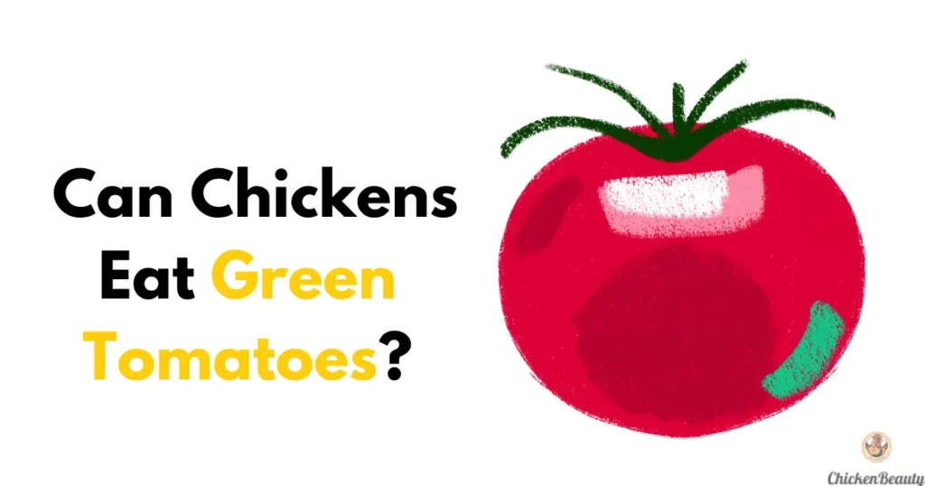 Can Chickens Eat Green Tomatoes
