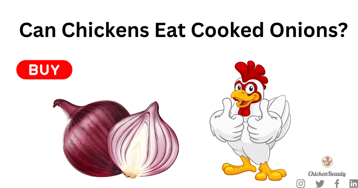Can Chickens Eat Cooked Onions