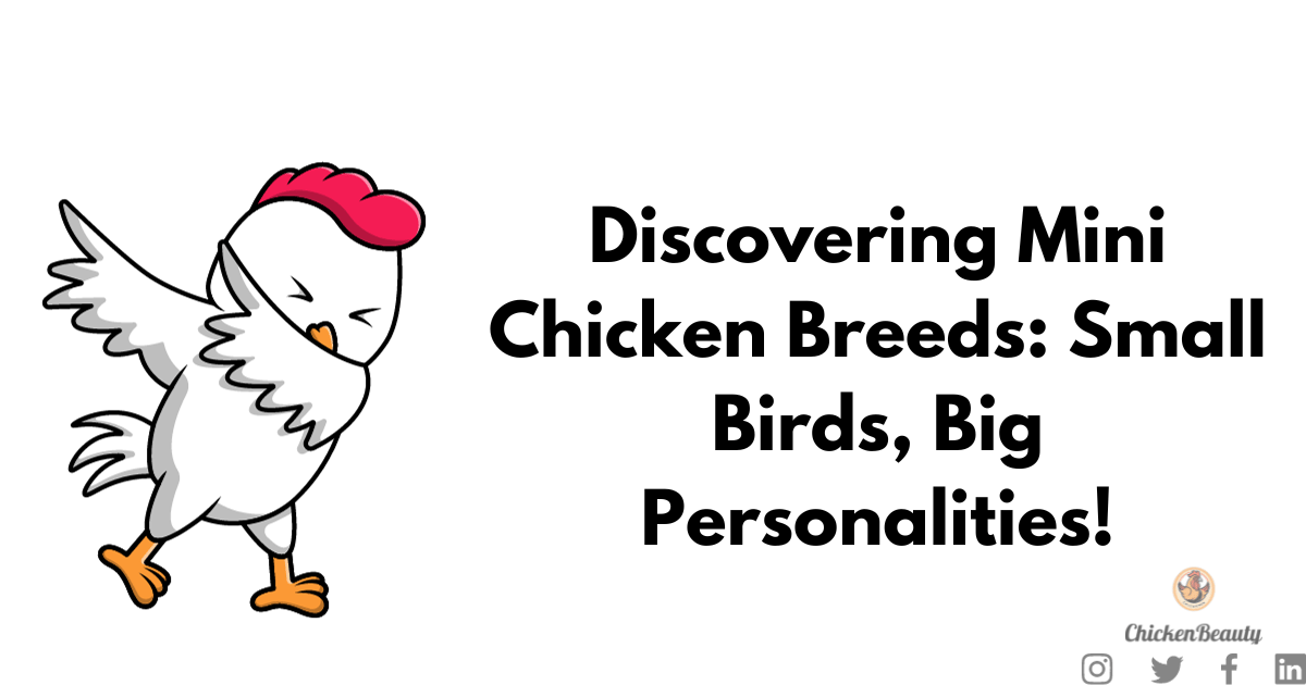 Discovering Mini Chicken Breeds: Small Birds, Big Personalities!