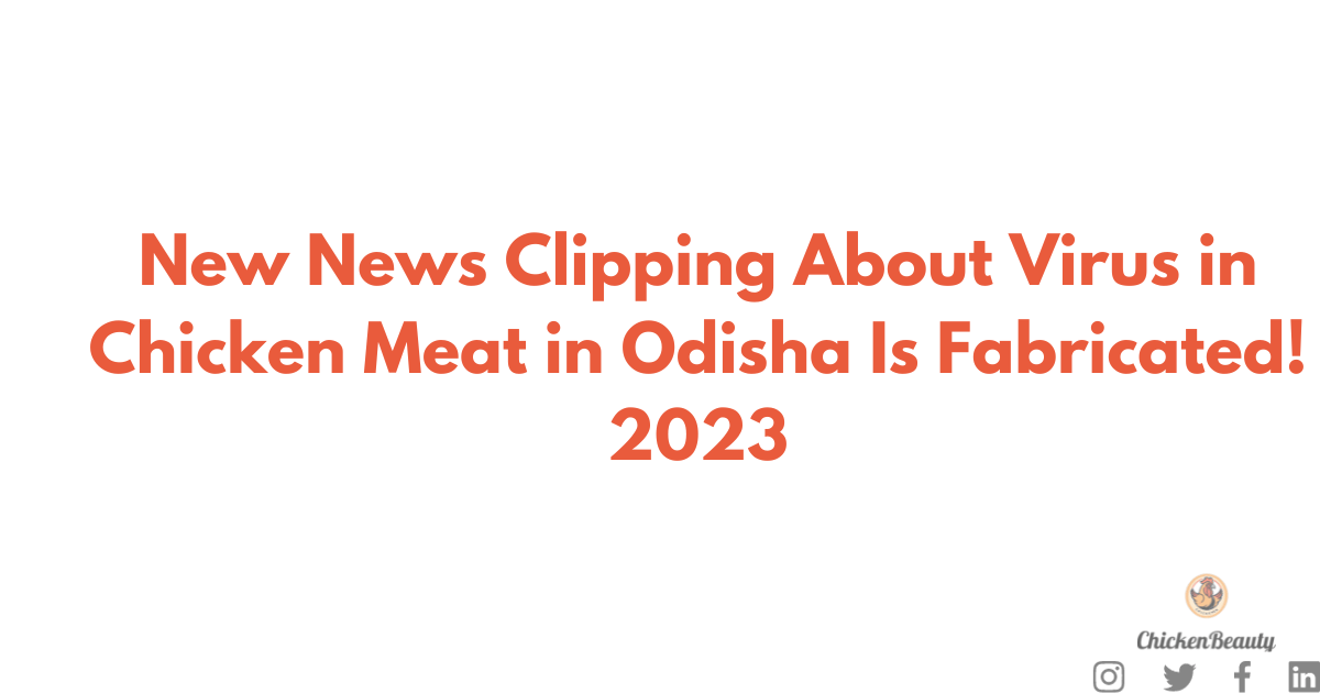New News Clipping About Virus in Chicken Meat in Odisha Is Fabricated! 2023