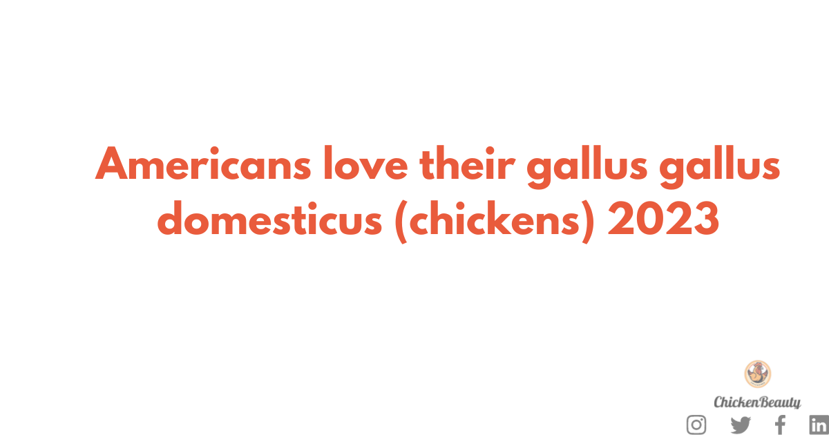Americans love their gallus gallus domesticus (chickens) 2023